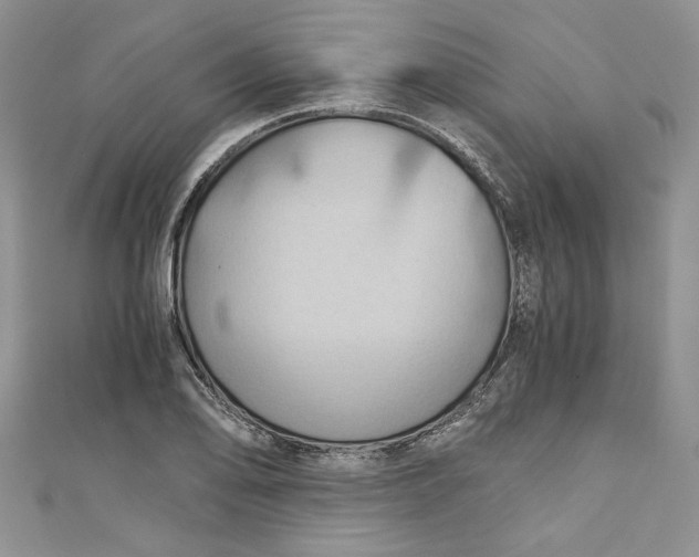 X0000111031078200907161320