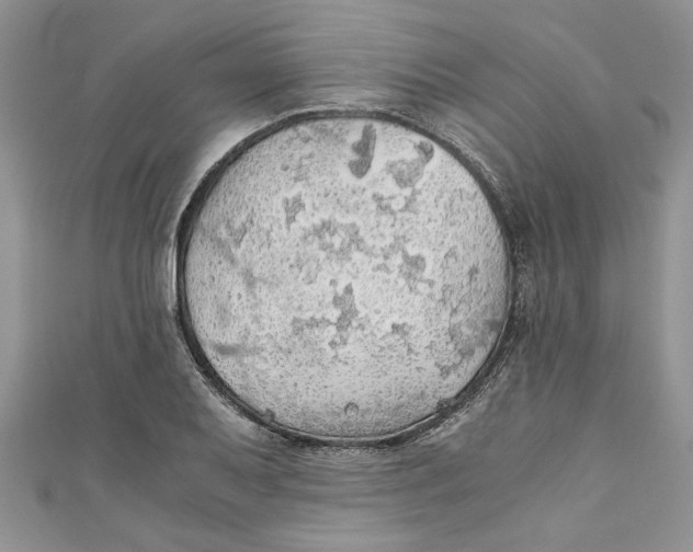X0000111031079200907161320