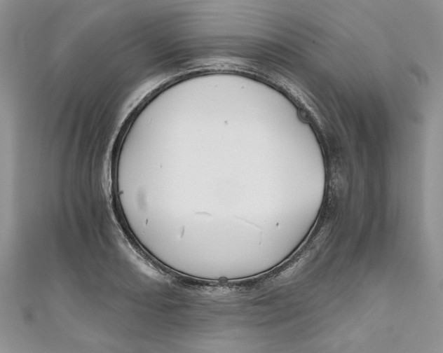 X0000111031082200907161320