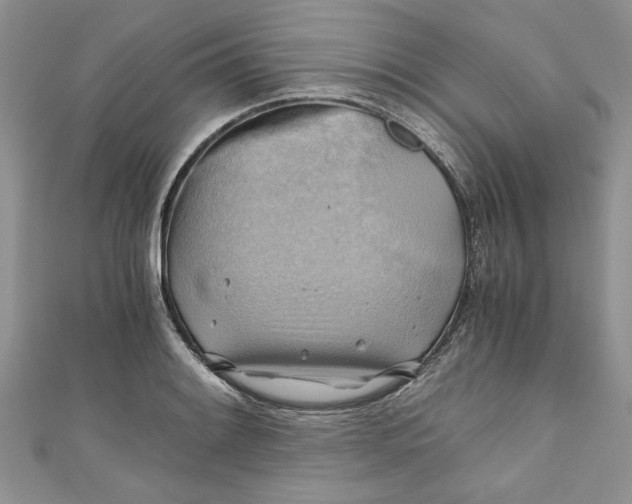 X0000111031084200907161320