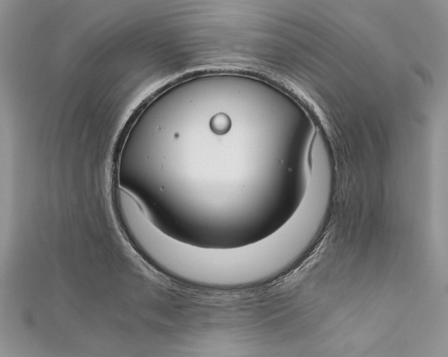 X0000111031085200907161320