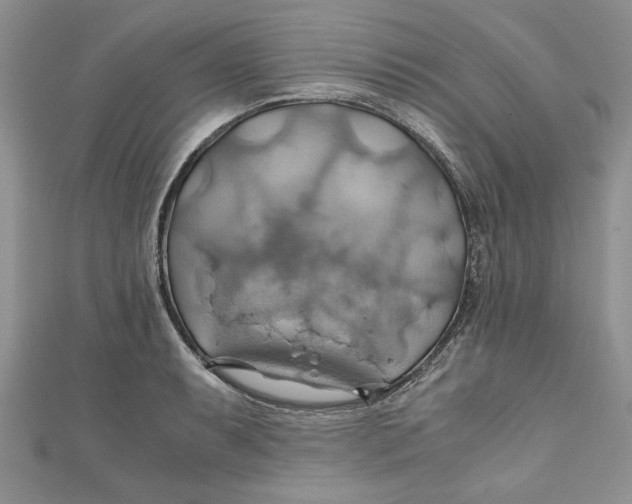 X0000111031087200907161320