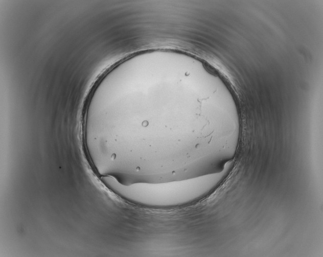 X0000111031088200907161320