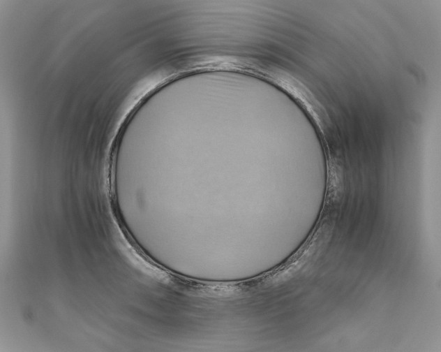X0000111031090200907161320