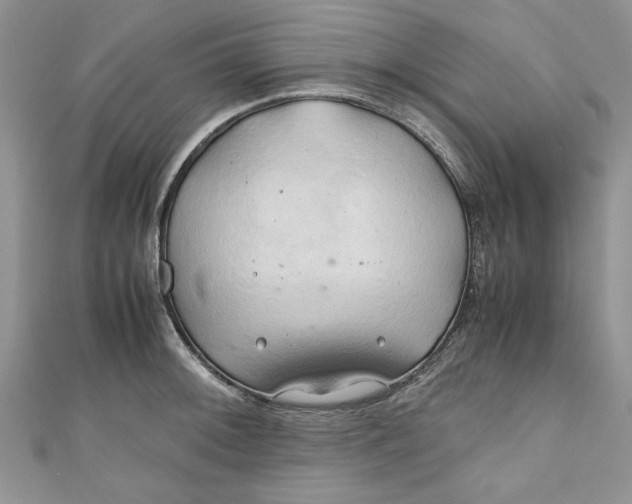 X0000111031092200907161320