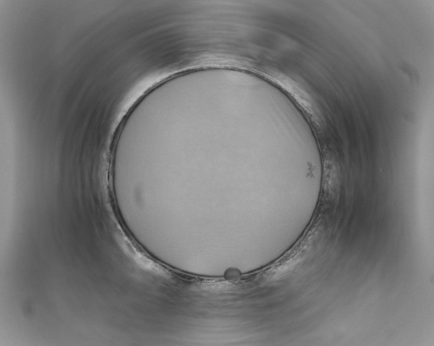 X0000111031094200907161320