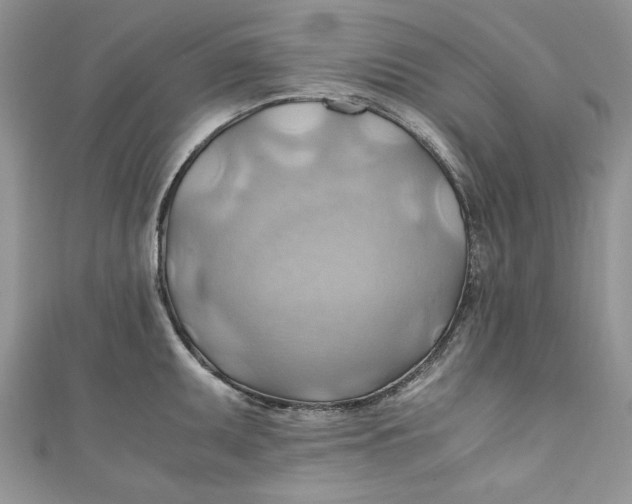 X0000111031095200907161320
