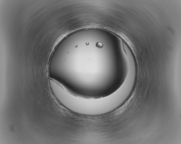 X0000111031097200907161320