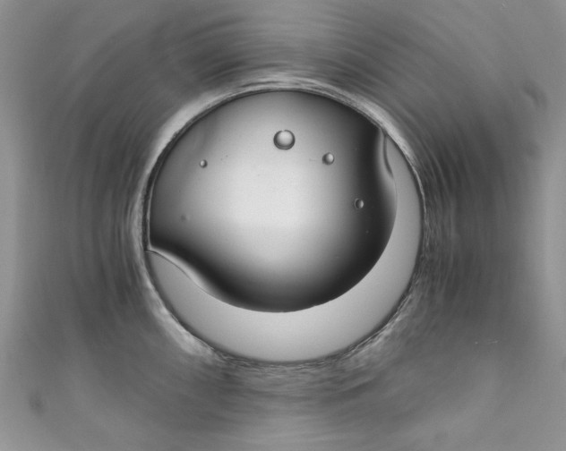 X0000111031098200907161320