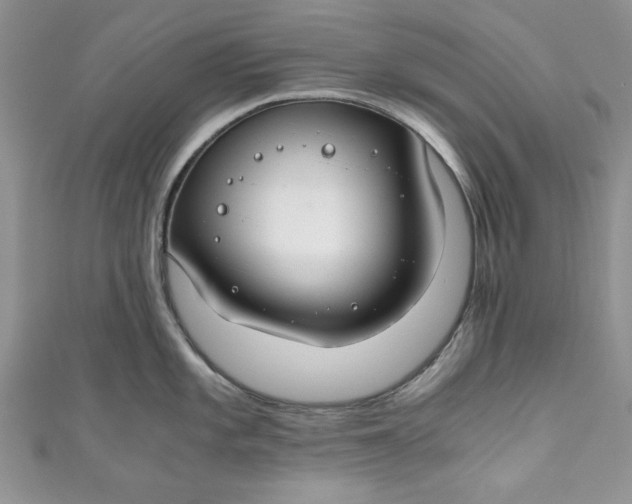 X0000111031101200907161320