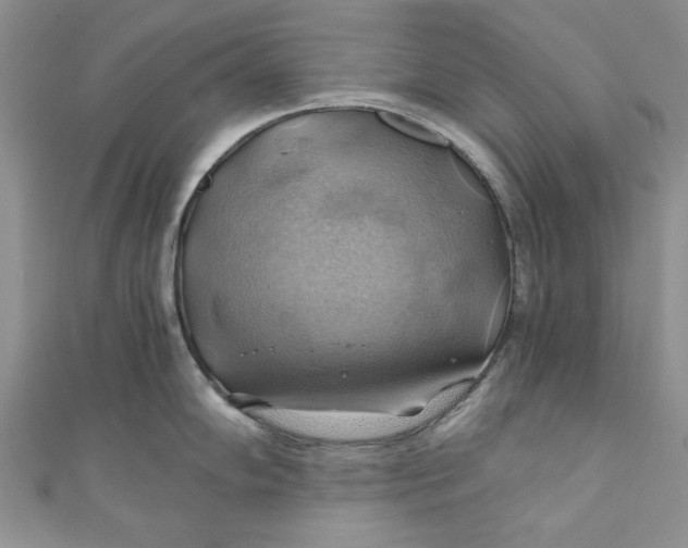 X0000111031102200907161320