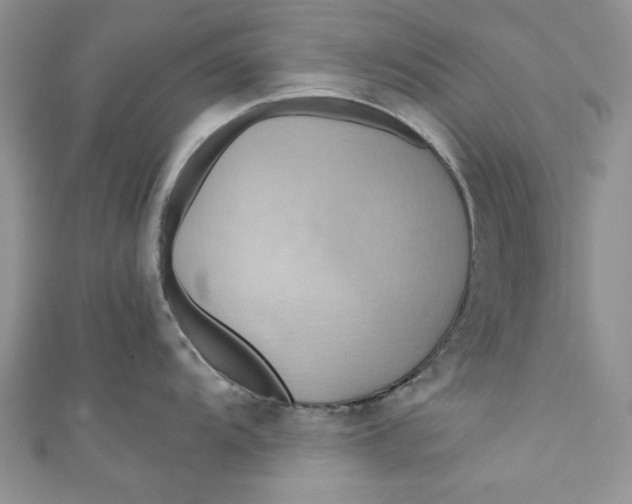 X0000111031104200907161320