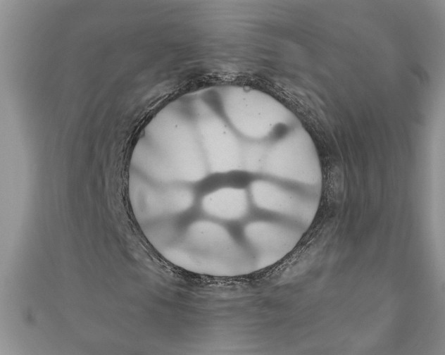 X0000111031105200907161319