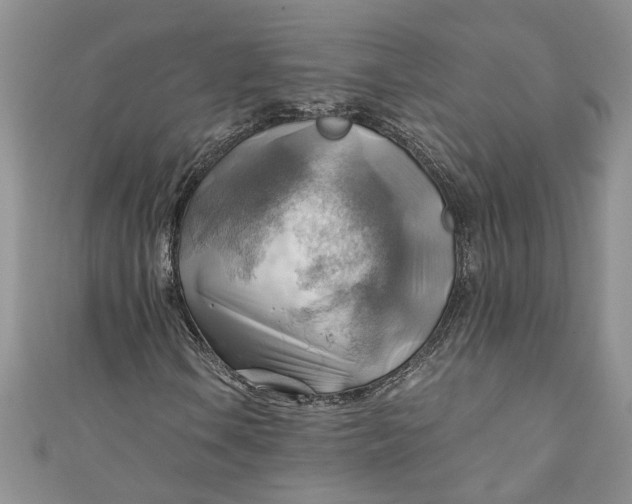 X0000111031106200907161319