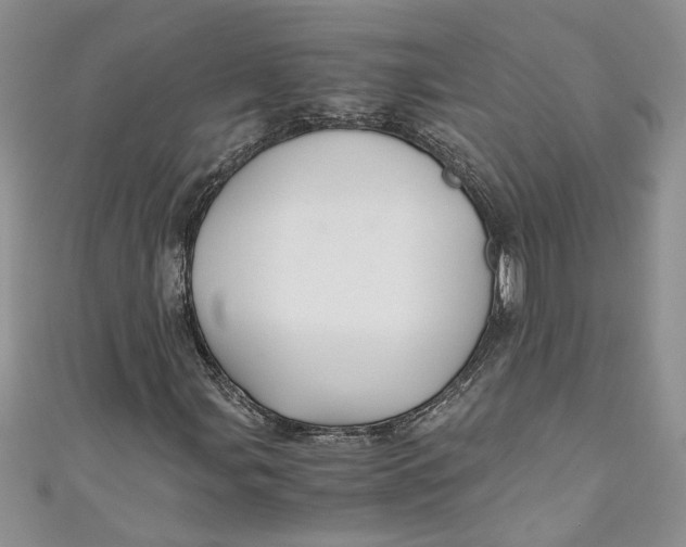 X0000111031107200907161319