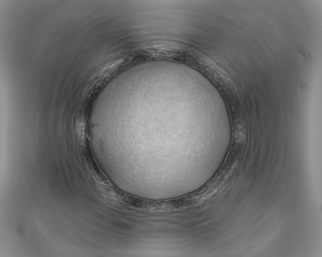 X0000111031108200907161319