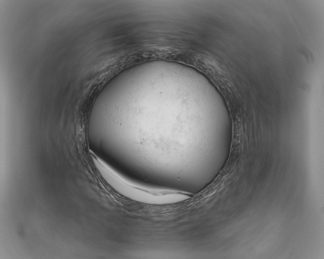 X0000111031109200907161319