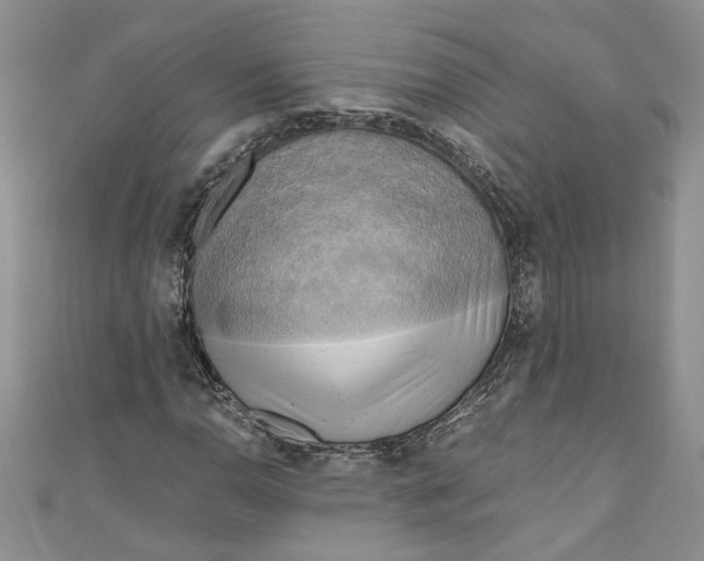 X0000111031110200907161319