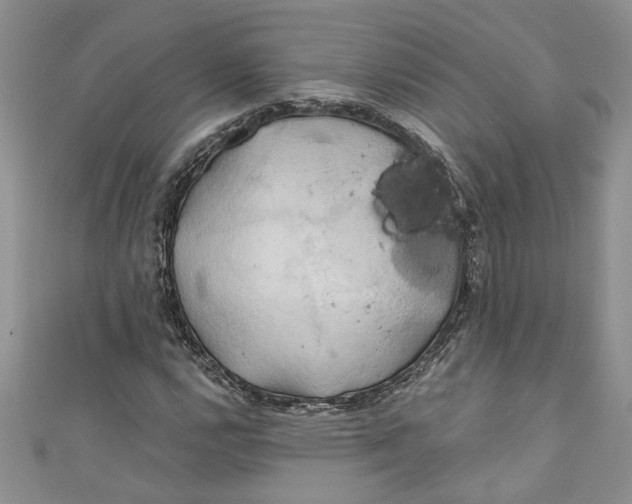 X0000111031112200907161319