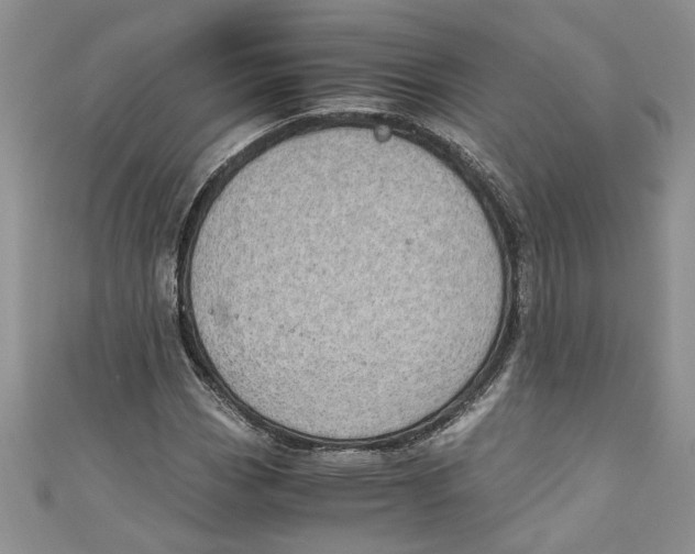 X0000111031113200907161319