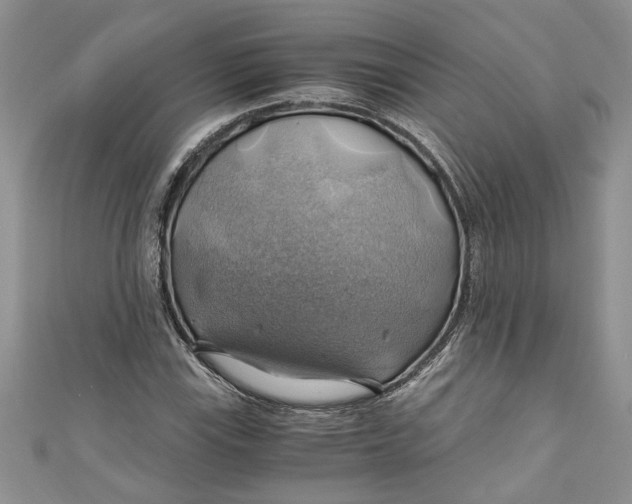 X0000111031115200907161319