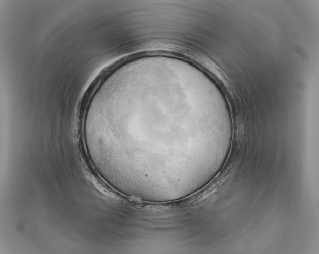 X0000111031116200907161319