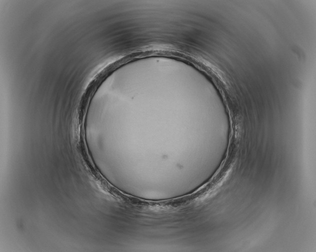 X0000111031117200907161319