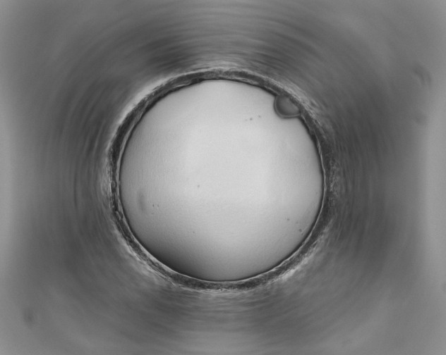 X0000111031118200907161319