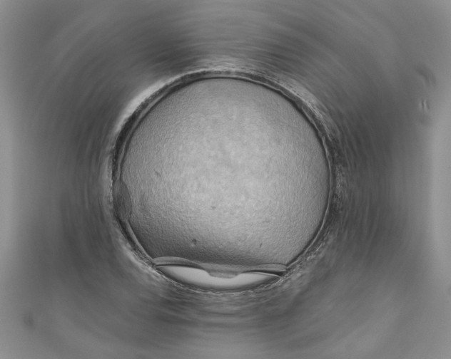 X0000111031120200907161319