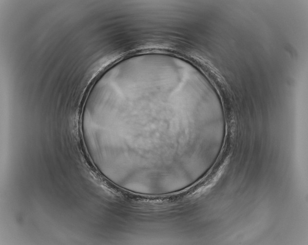 X0000111031121200907161319