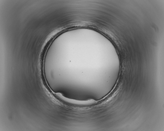 X0000111031122200907161319