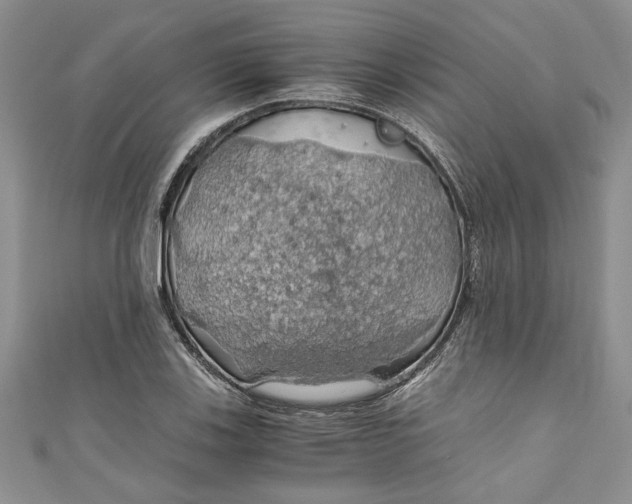 X0000111031123200907161319