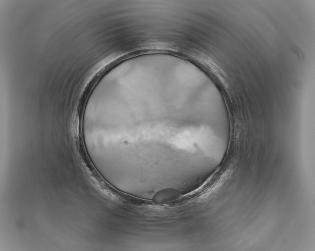X0000111031125200907161319