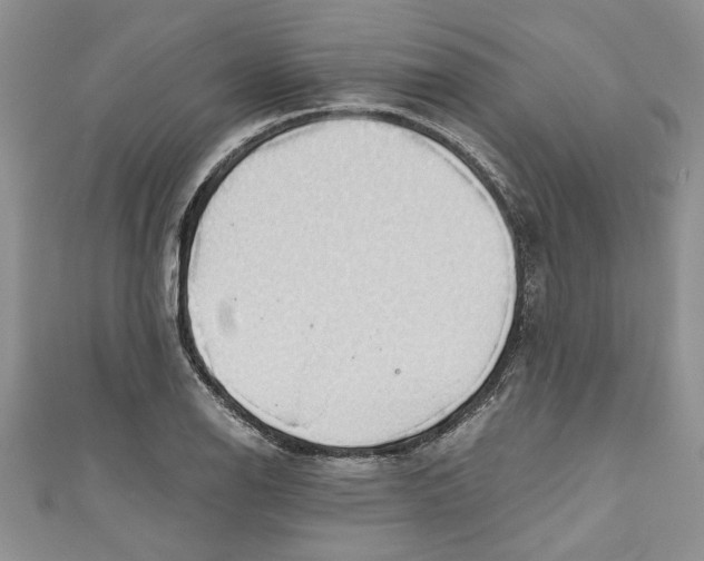 X0000111031126200907161319