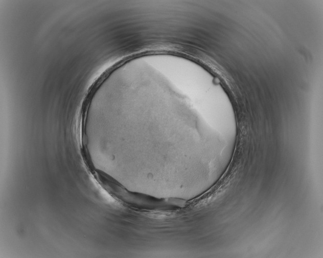 X0000111031127200907161319