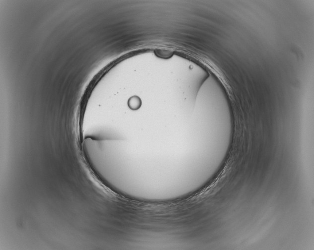 X0000111031128200907161319