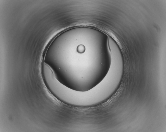 X0000111031132200907161319