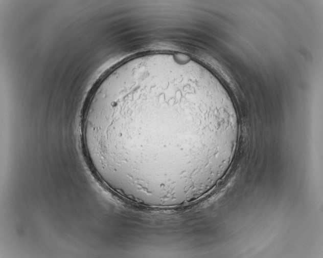 X0000111031133200907161319