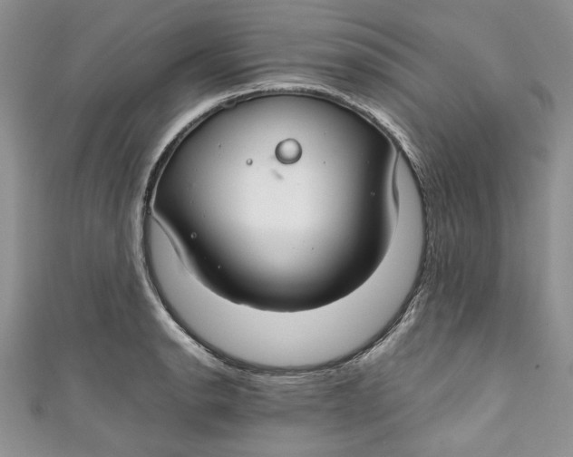 X0000111031134200907161319