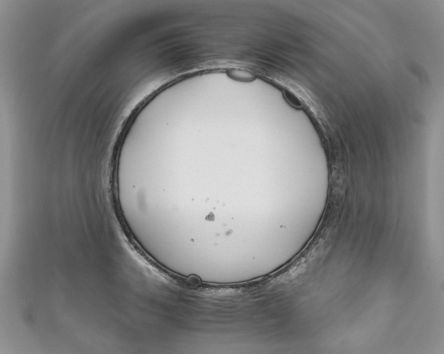 X0000111031135200907161319