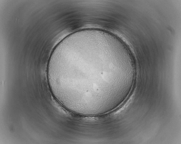 X0000111031137200907161319