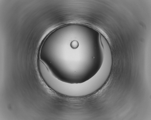 X0000111031138200907161319