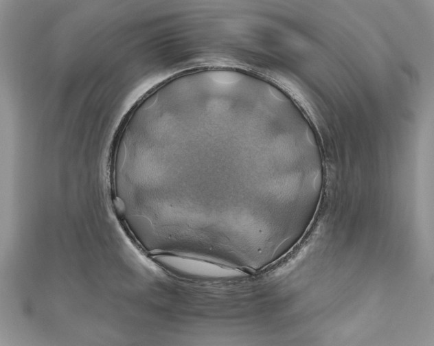 X0000111031141200907161319