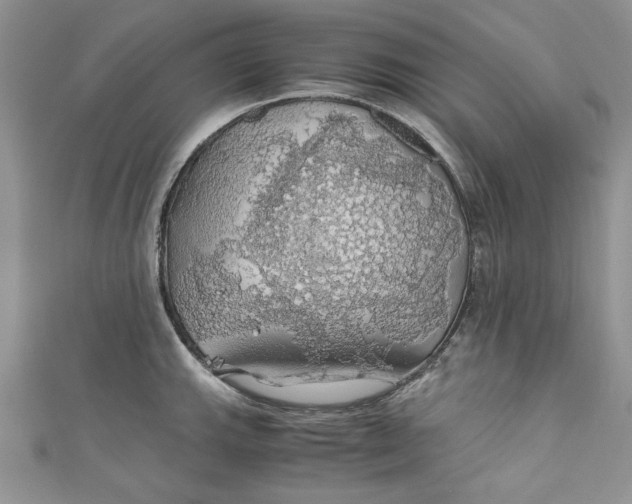 X0000111031143200907161319