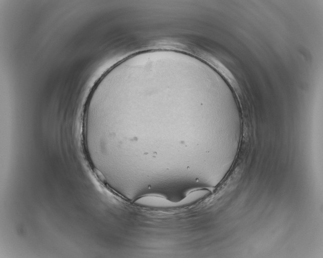 X0000111031144200907161320
