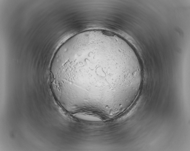 X0000111031145200907161320