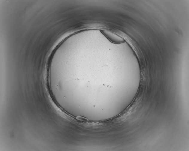 X0000111031147200907161320