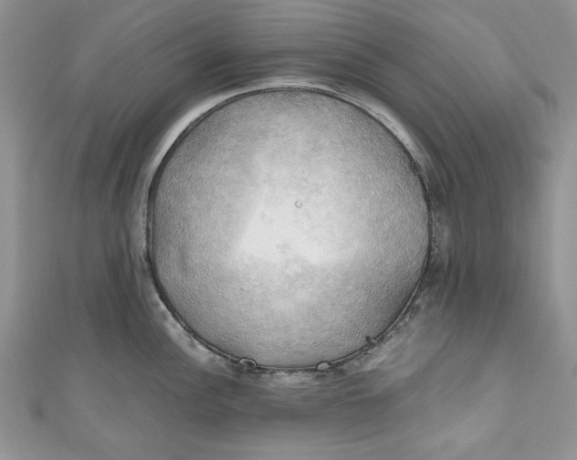 X0000111031148200907161320