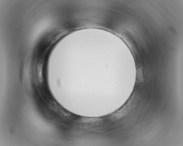 X0000111031150200907161320