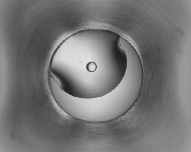 X0000111031152200907161320